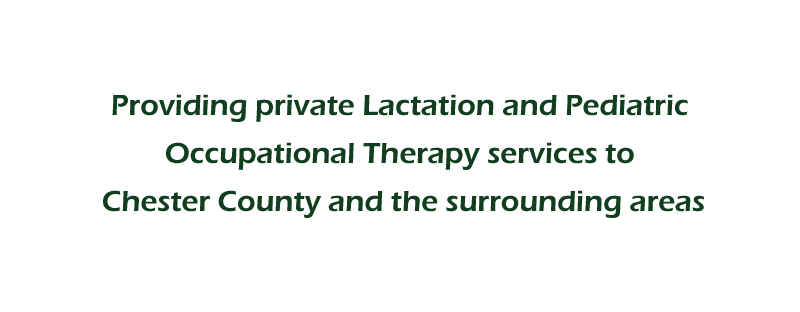 Providing private Lactation and Pediatric Occupational Therapy services to Chester County and the surrounding areas